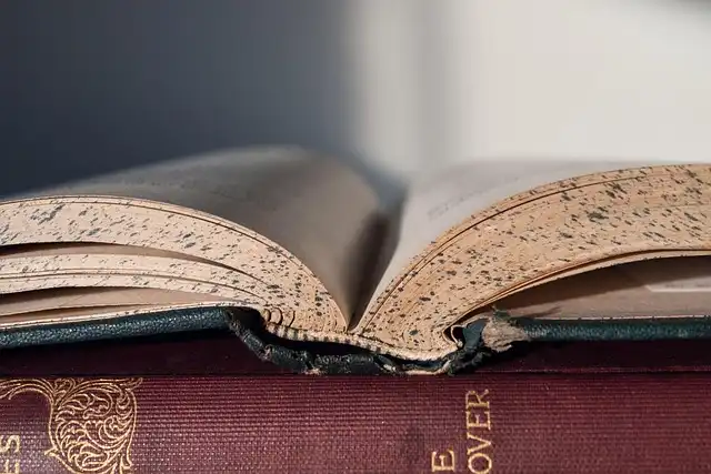Copyright, AI & Libraries: Book World News (May 2025)