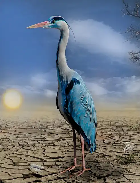 Landfall: Climate Crime, Missing Kid & Human Compassion
