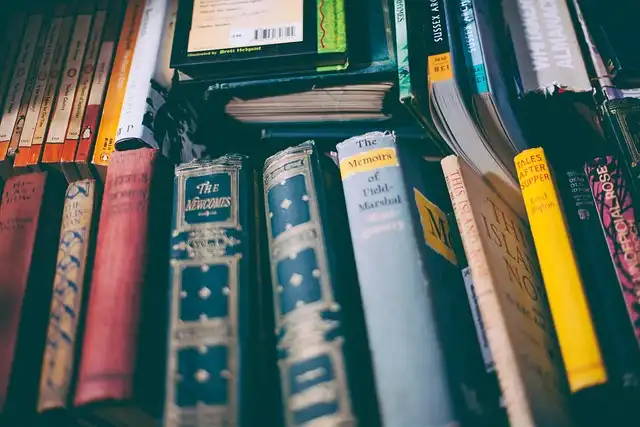 Seren Books: New CEO & Future Plans
