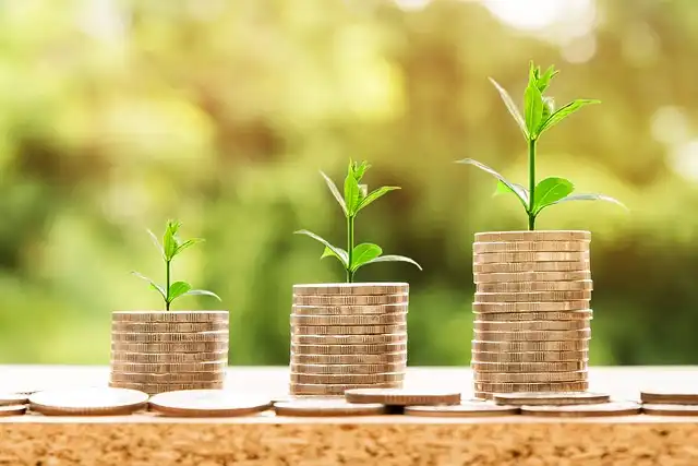 Unbound Collapse: Founder Resigns Over Payment Issues