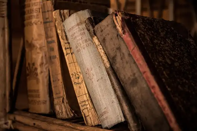 AI Translation, Copyright Fight & Library Challenges in 2025