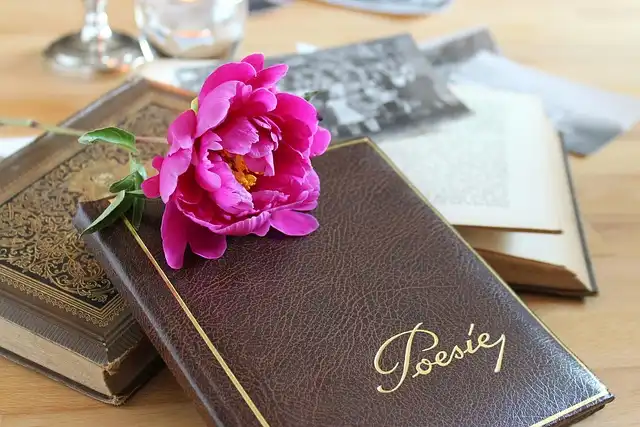 Brophy’s ‘An Inventory of Yearning’: Poetry, Paris, and Reflection