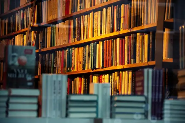 Indie Bookshop Charts: Sturgeon’s ‘Frankly’ Tops, Kushner Over-Indexes