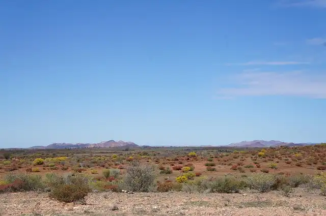 Yilkari: Desert Journeys, Aboriginal Voices & Hidden Truths