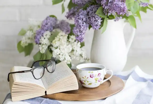 BookTok & Classics: Rediscovering Literary Treasures