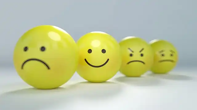 Exploring Shame: A Philosophical Analysis by Frédéric Gros