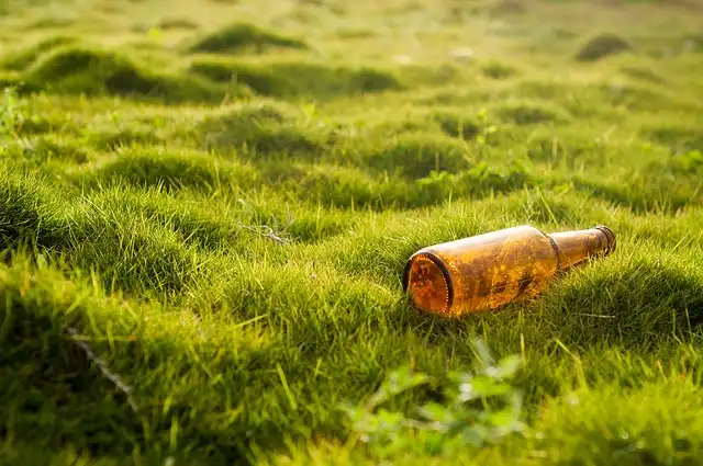 Defiance: Brown’s Eco-Activism & Earth’s Defense