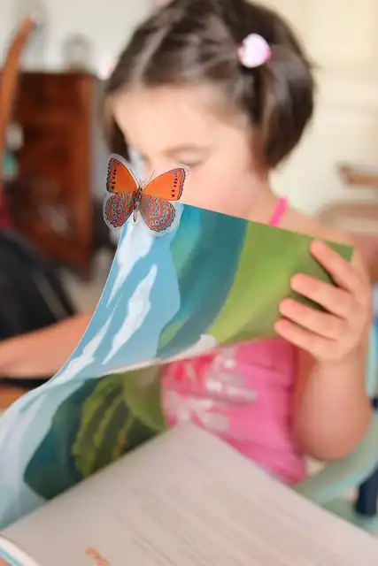 DK Supports Manchester Libraries’ Non-Fiction November