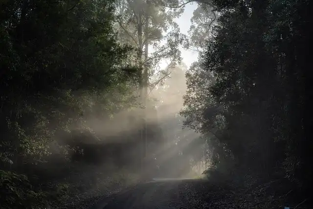Mantle: Eco-Fiction Exploring Connection and Change