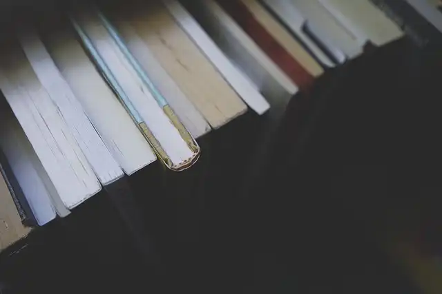 Dystopian Novel ‘I That Have Never Known Men’ Becomes BookTok Sensation