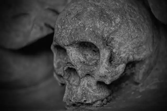 Exhumed: Uncovering Society’s Fascination with Death and the Undead